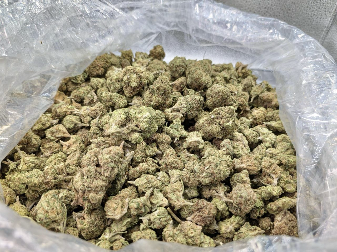 Slurricane strain